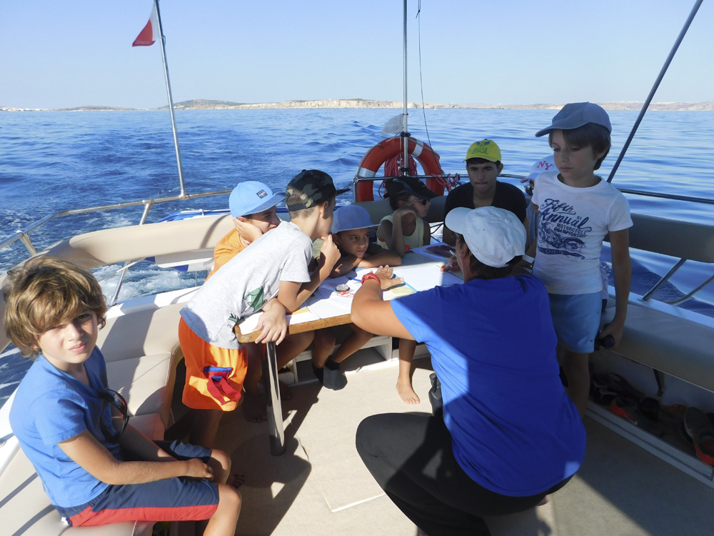 Marine Biology Courses Eco Marine Malta Marine Biology Courses Eco Marine Malta