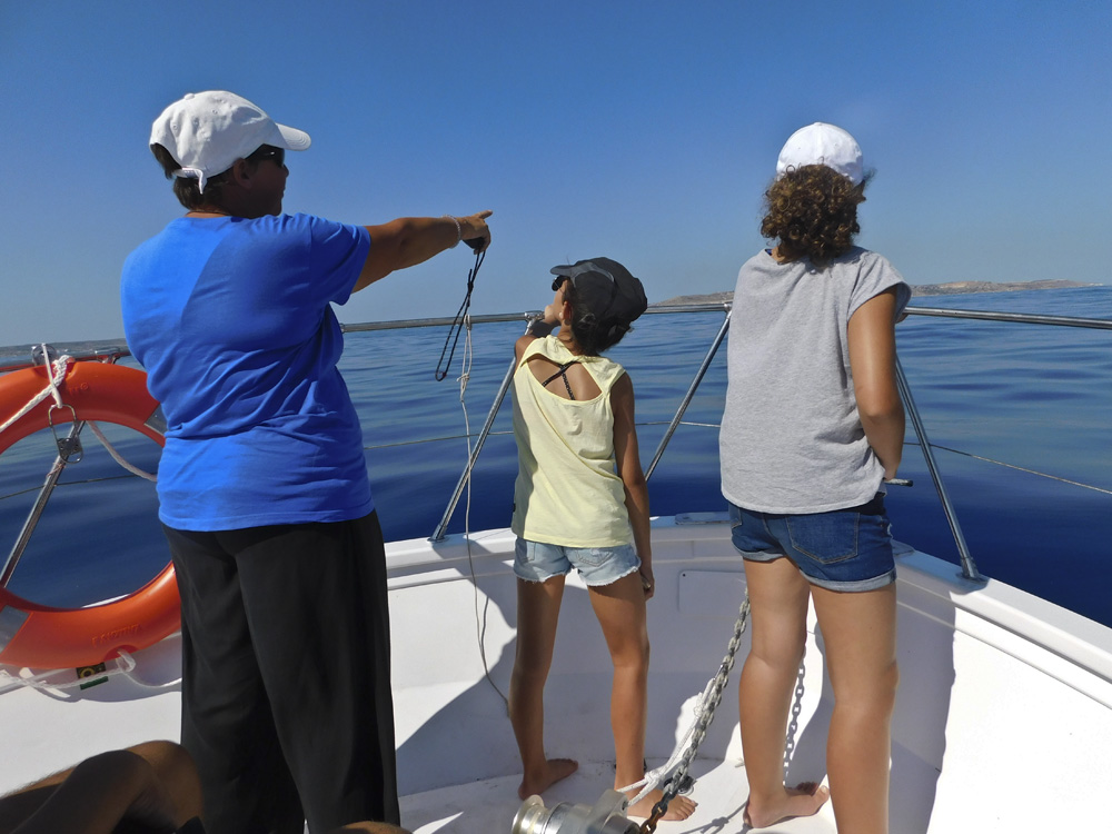 Marine Biology Courses Eco Marine Malta Marine Biology Courses Eco Marine Malta