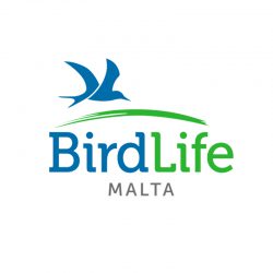 BIRDLIFE BIRDLIFE