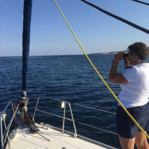 Patrizia Patti spotting dolphins ahead