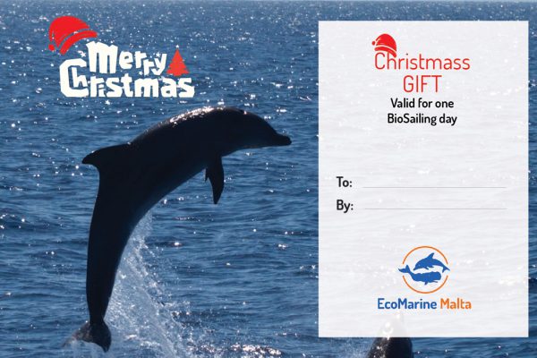 voucher_natale_biosailing-01